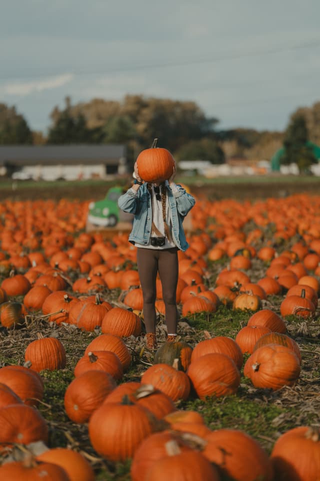 Person in a pumpkin patch hiding their head with a pumpkin