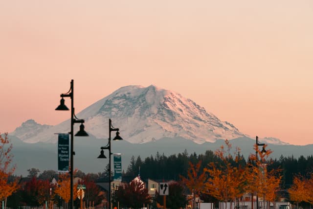 Mount Rainier towering behind street lamps and autumn foliage under a pink-hued sky