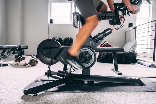 A person is using a stationary bike indoors, with exercise equipment and a dog resting nearby