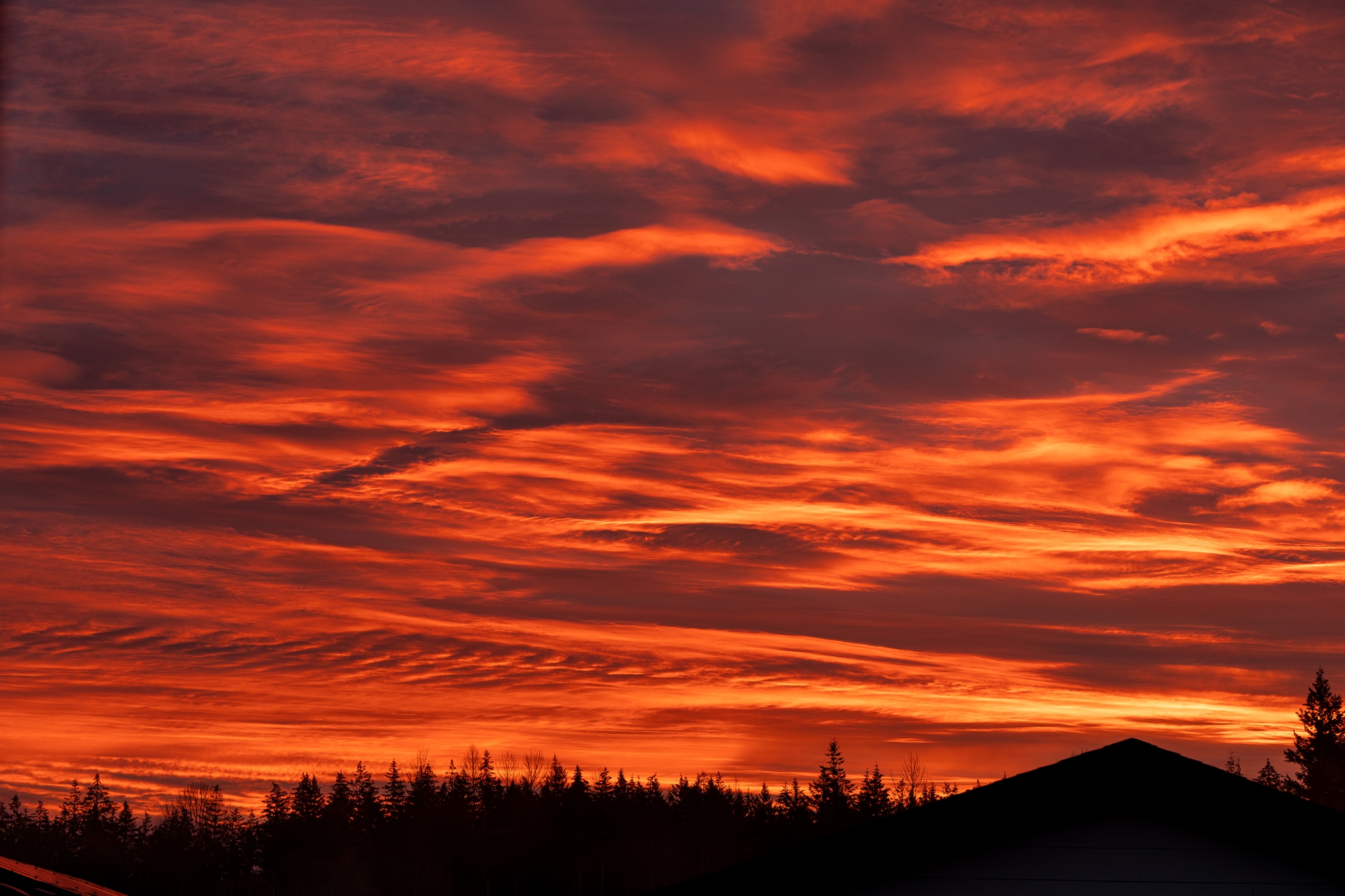 A vibrant sunrise with fiery red and orange clouds above a silhouetted treeline and rooftops